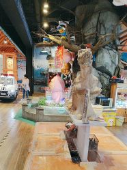 -卡通尼乐园(新达汇三林店)