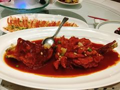 -沪碟·精菜坊(闵行店)