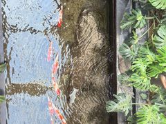 -福禧酒窖·中餐厅 (万柳店)