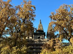 -北京石刻艺术博物馆(五塔寺)