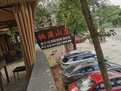 -桃源山庄·水蜜桃采摘·柴火鸡·烧烤团建(龙泉山店)