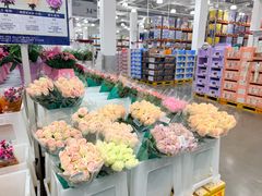 -山姆会员商店(上海浦东店)