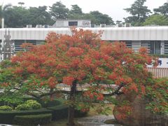 -中山大学附属第五医院