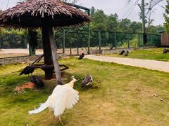 -鄱阳湖国家湿地公园