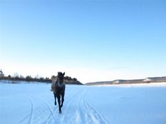 -北极村旅游风景区