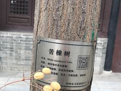 -河间府署