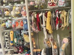 -悦宠动物医院(京丰分院)
