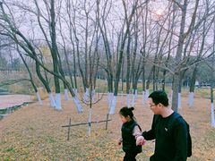 -长白岛森林公园