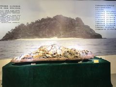 -东南花都花博园