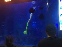 -石家庄极地海洋世界