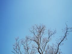 -良渚古城遗址公园