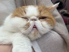 -福田卓悦INTOWN购物中心
