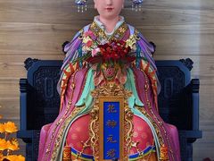 -秋霞圃