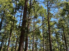 -白草畔自然风景区