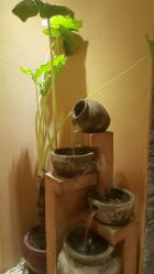 静之婵  BIKRAM  YOGA-BikramYoga静之婵瑜伽馆
