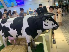 -红星前进面包牛奶公司(君太店)