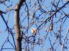 -终南山南五台景区