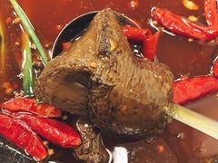 -黄潇洒老火锅(九眼桥宏济巷店)