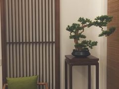 -静雅推拿(鹭洲里店)