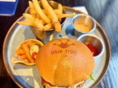 -blue frog蓝蛙(长泰广场店)