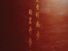 -恬阿姨庭院餐厅·生日宴