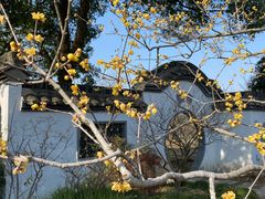 -无锡梅园公园