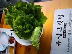 -唯成•韩国炭火烤肉 유성고기