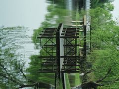 -尚贤河湿地