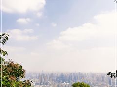 -大蜀山国家森林公园