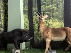 -房山世界地质公园博物馆