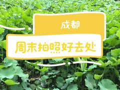 -四川大学(华西校区)