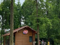 -黄海国家森林公园