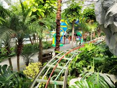 -南宫五洲植物乐园