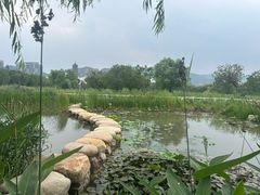 -长兴太湖图影湿地文化园