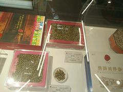 -同仁堂药店(北京首都国际机场3号航站楼C区店)