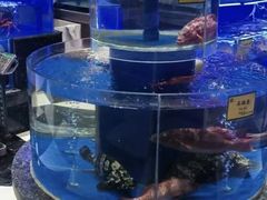 -新海渔港·胶东海鲜家常菜·家宴(奥体中心店)