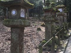 -奈良公园
