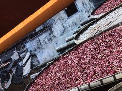 -巴奴毛肚火锅(二七万达店)