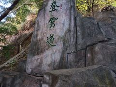 -梧桐山风景名胜区