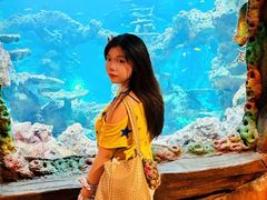 -长鹿旅游休博园