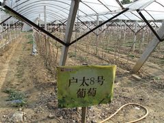 IMG_0633-茂德公草堂