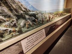 -王府井古人类文化遗址博物馆