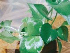 -学习谷日语培训日本留学·多语种外语教学(海淀人大分部)