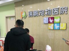 -瑞鹏宠物医院犬猫全科(真大分院)