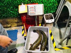 -江南鱼捞(北仑银泰城店)