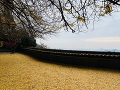 -大慈岩风景区