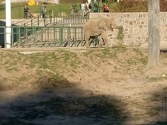 -哈尔滨北方森林动物园
