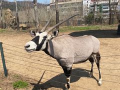 -大连森林动物园