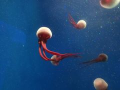 -石林冰雪海洋世界