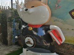 -柴犬高等学院·狗咖·柴犬售卖·宠物训练